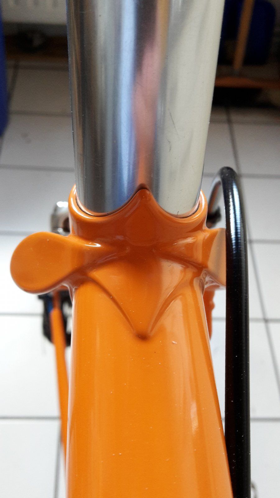 20200909_171151[1].jpg