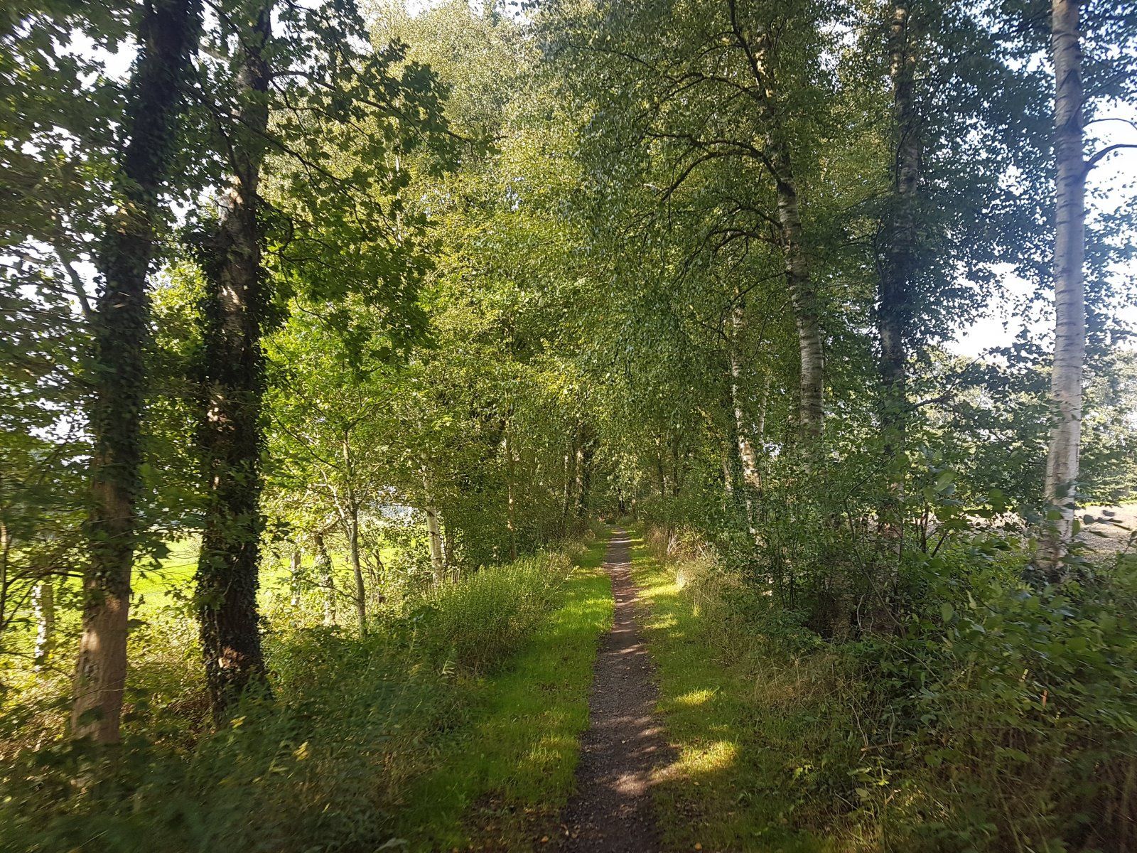 20200912_113019.jpg