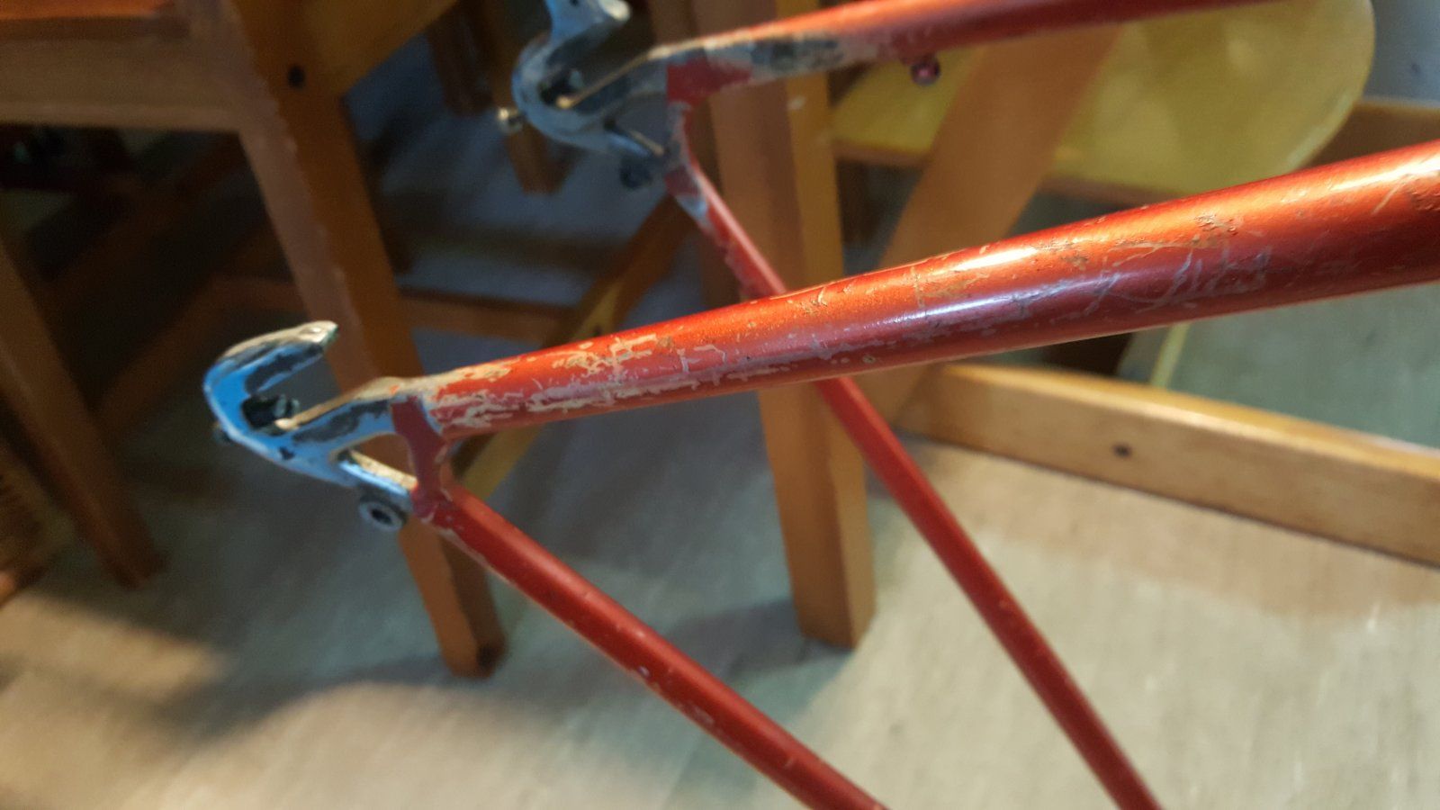 20200913_183225.jpg
