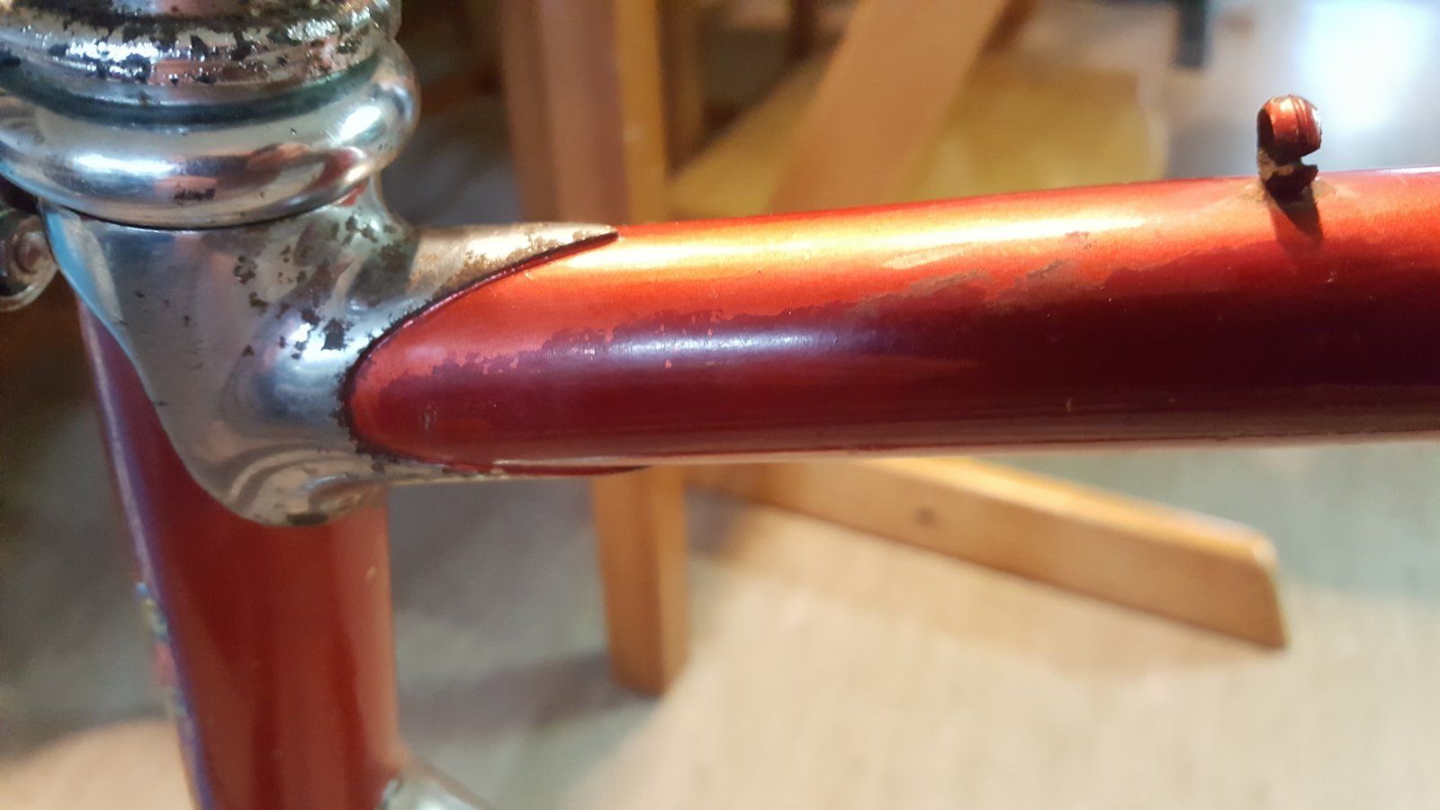 20200913_183243.jpg