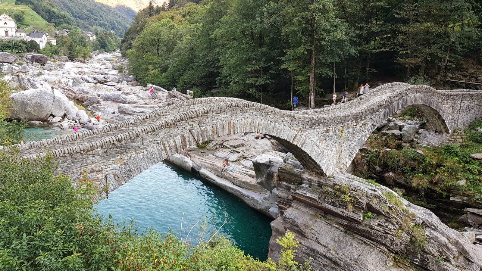 20200917_165133.jpg