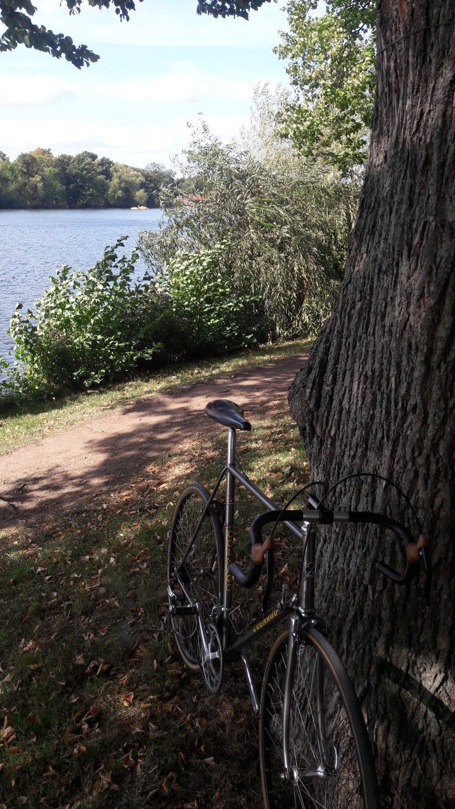 20200924_125812.jpg