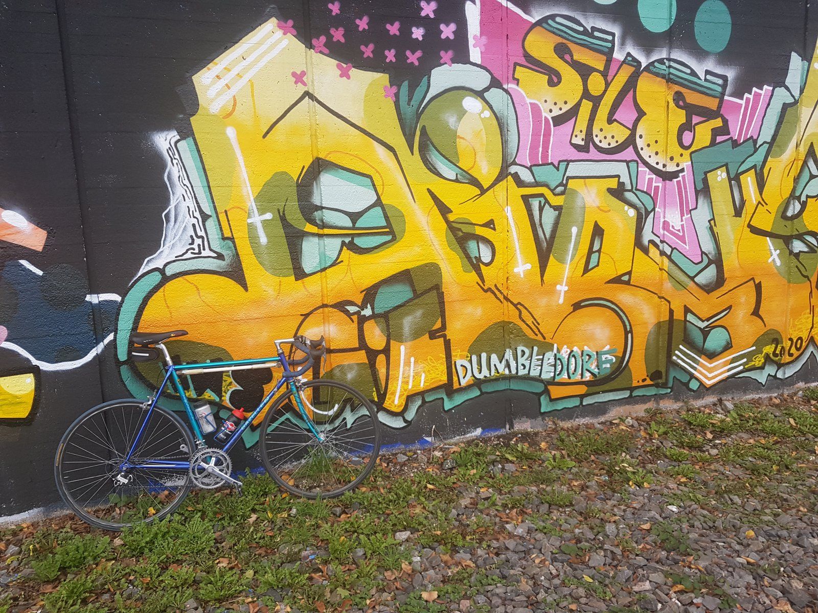 20201018_130214.jpg