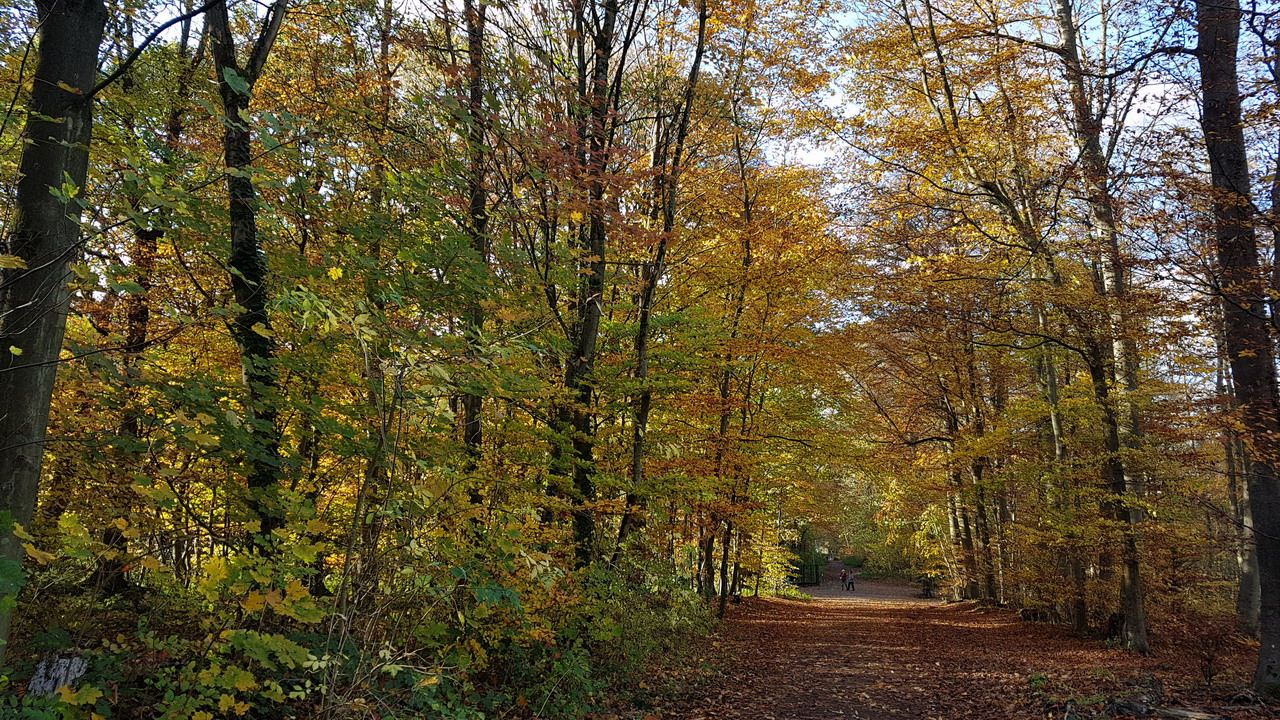 20201111_142458.jpg