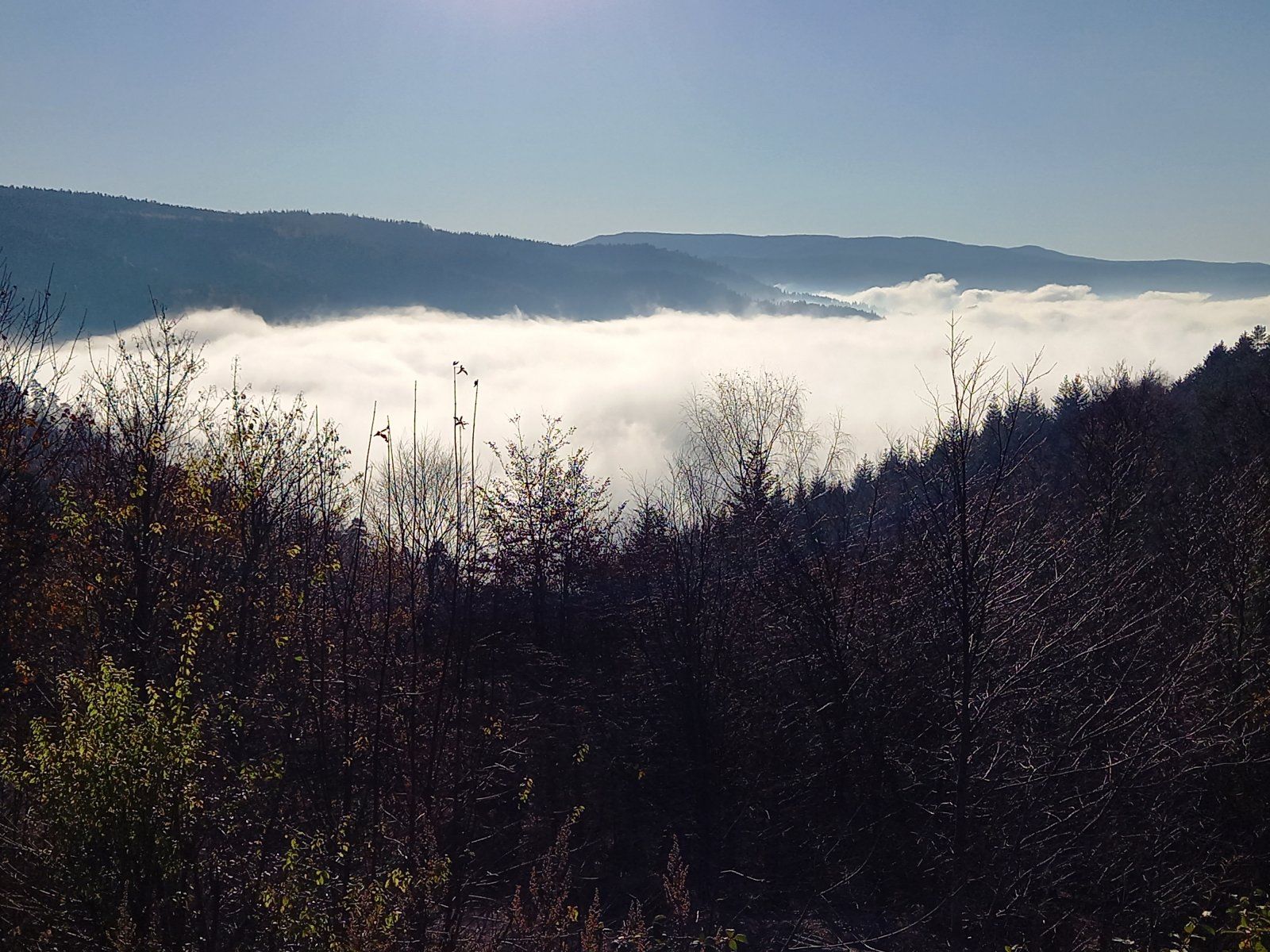 20201128_135239.jpg