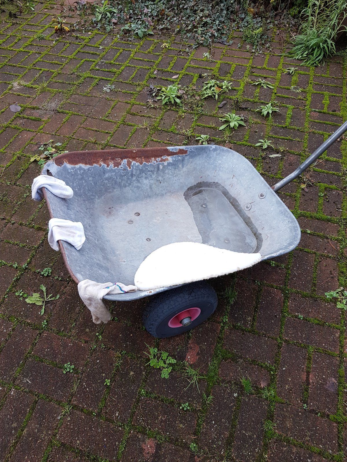 20201213_123646.jpg
