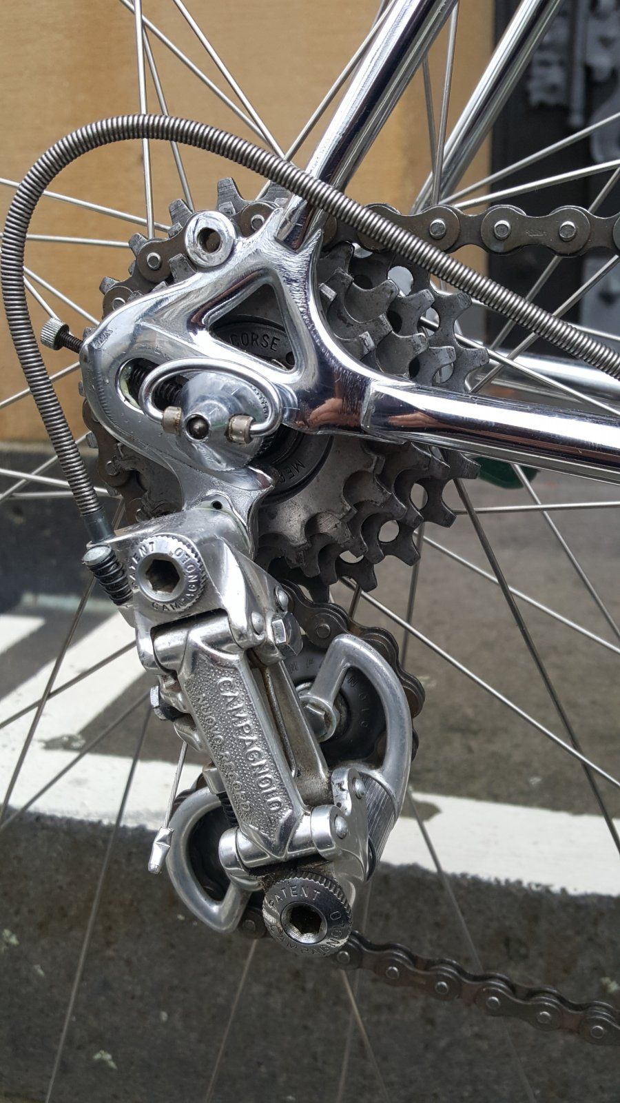 20201220_124021.jpg