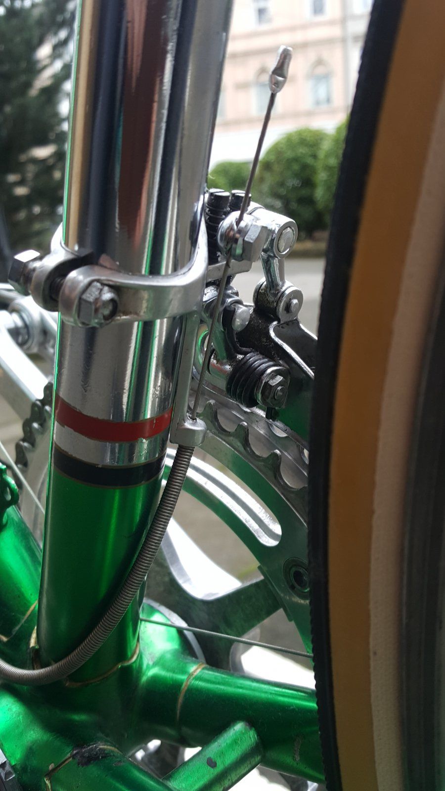 20201220_124232.jpg