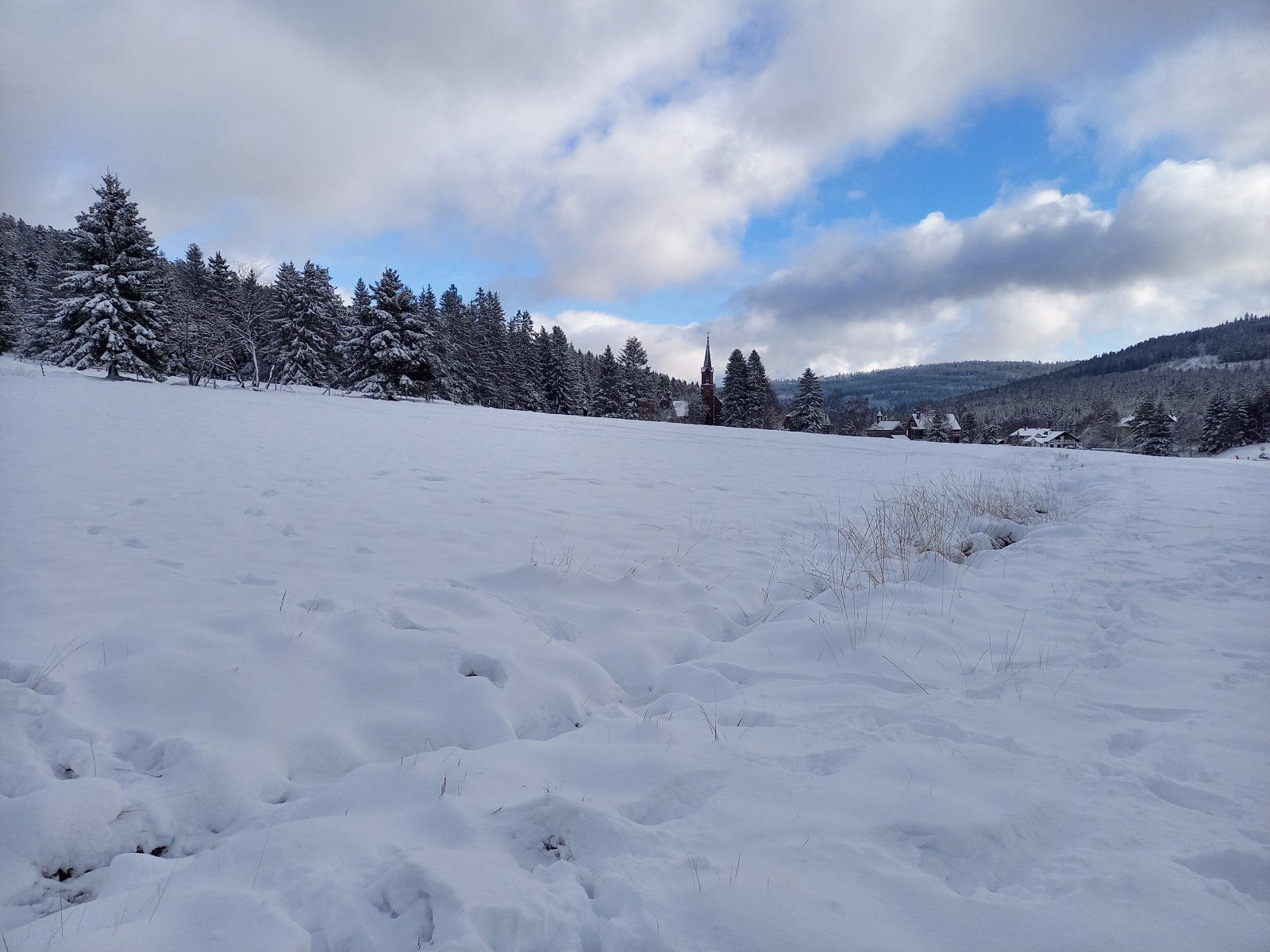 20201226_134630.jpg