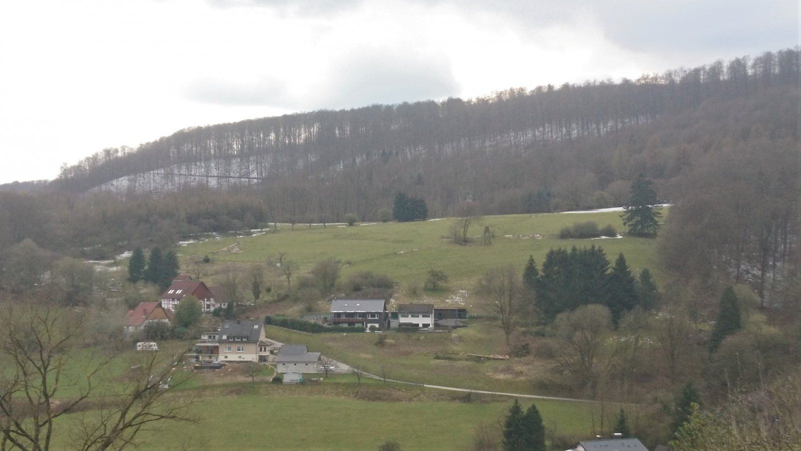 2021-04-08 14.46.21.jpg