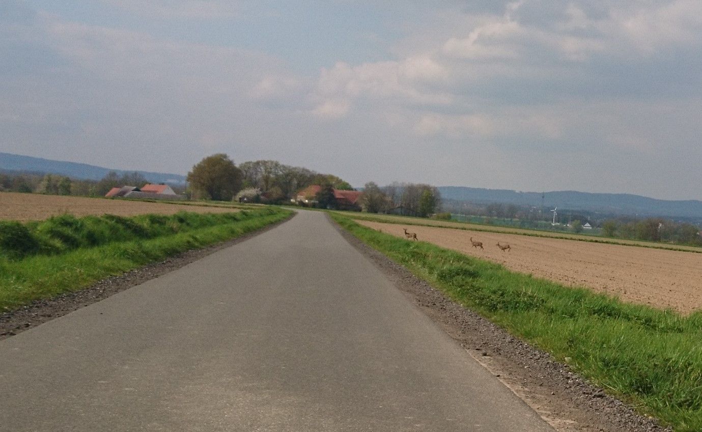 2021-05-01 17.04.22.jpg