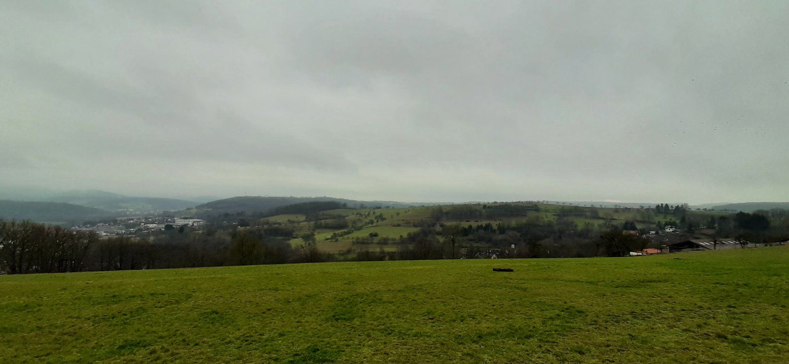 20210123_125917.jpg