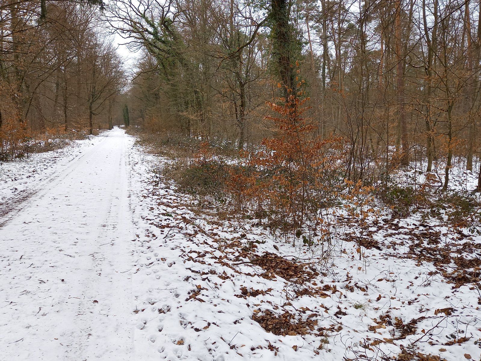 20210215_114146.jpg