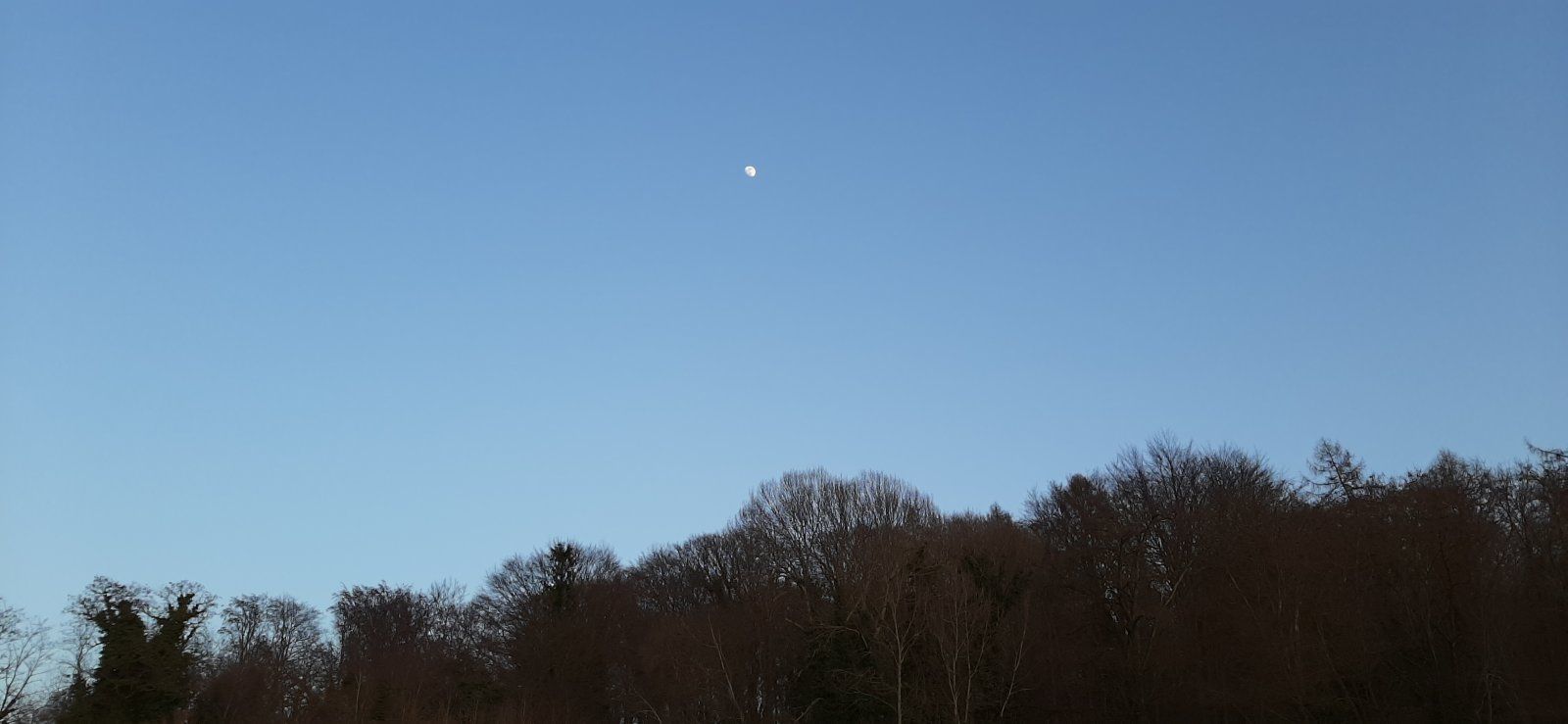 20210223_172933.jpg