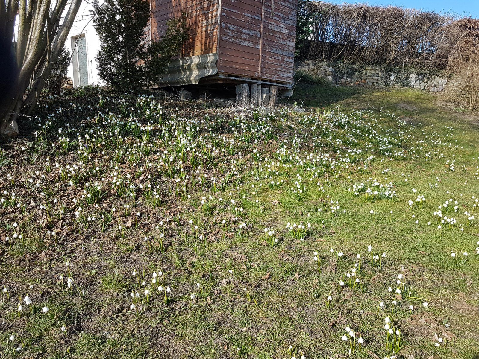 20210228_103442.jpg
