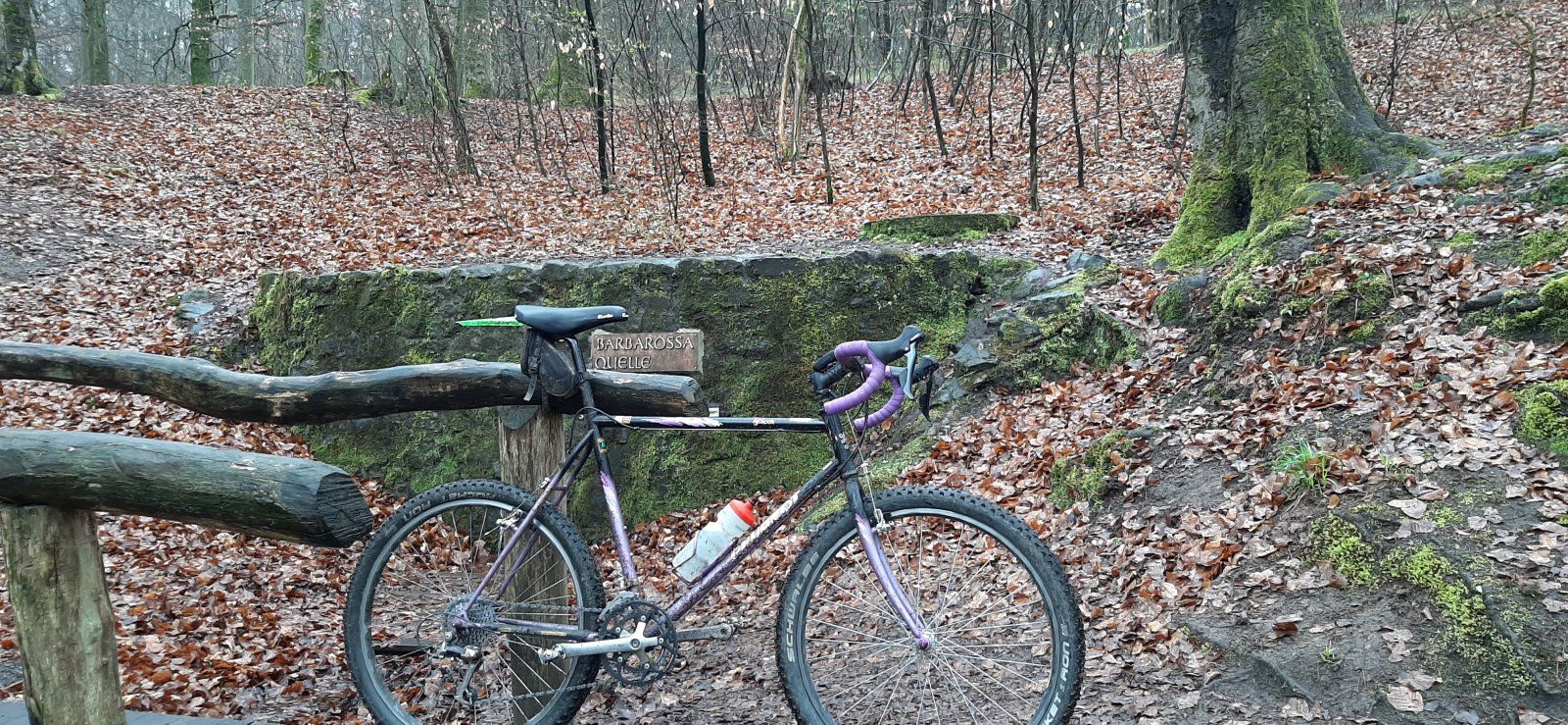 20210410_132529.jpg