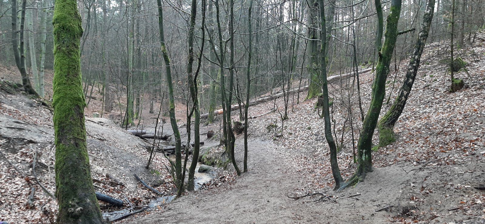 20210410_140145.jpg