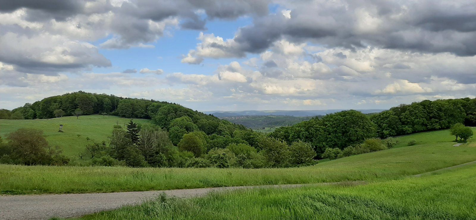 20210521_180040.jpg
