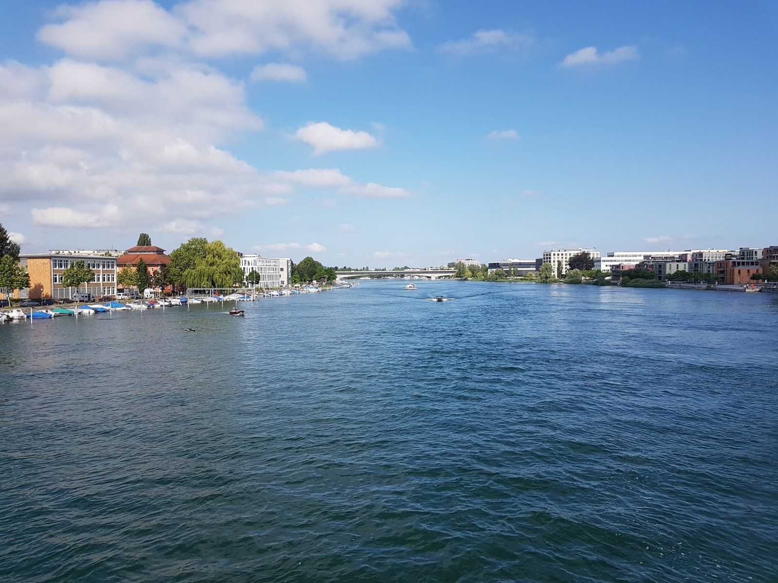 20210718_094501.jpg