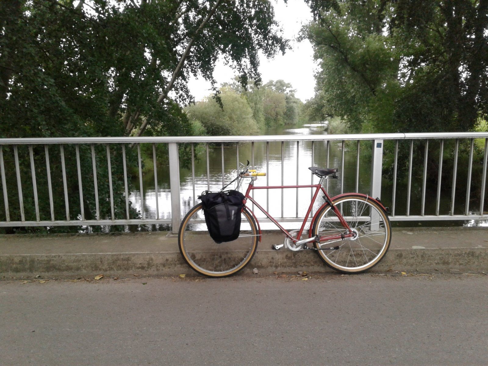 20210808_111727.jpg