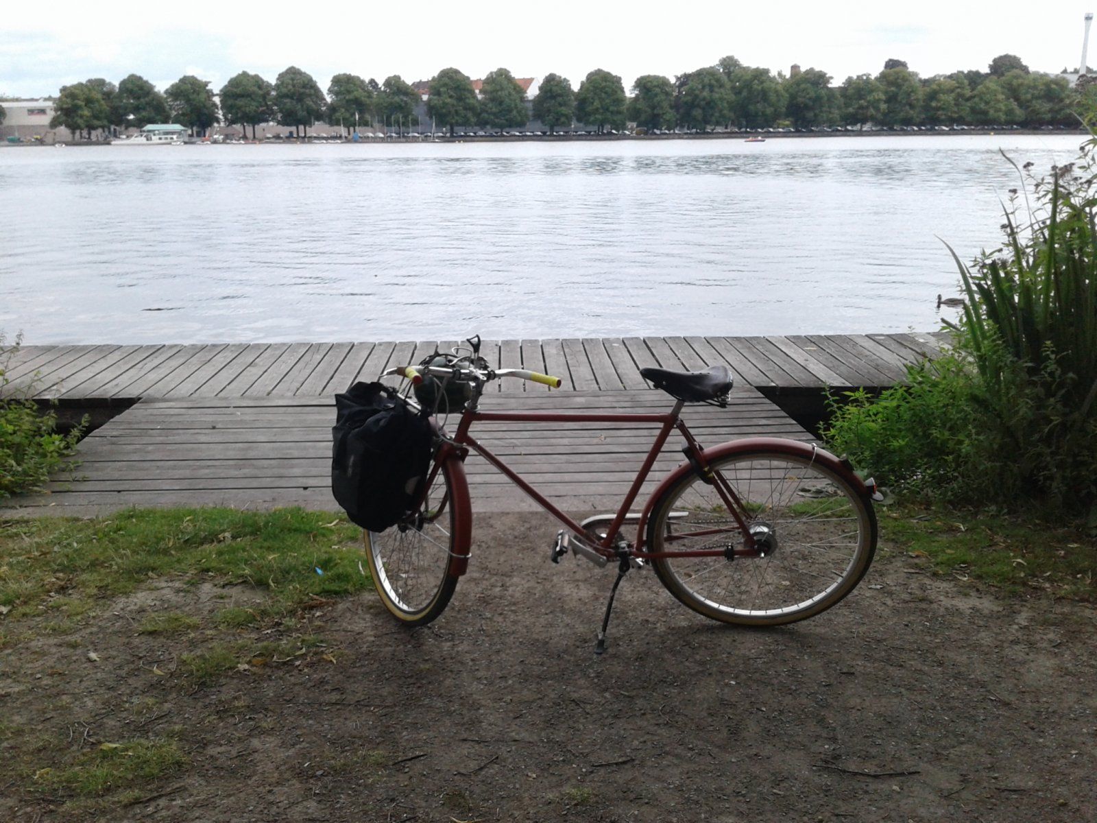 20210808_121740.jpg