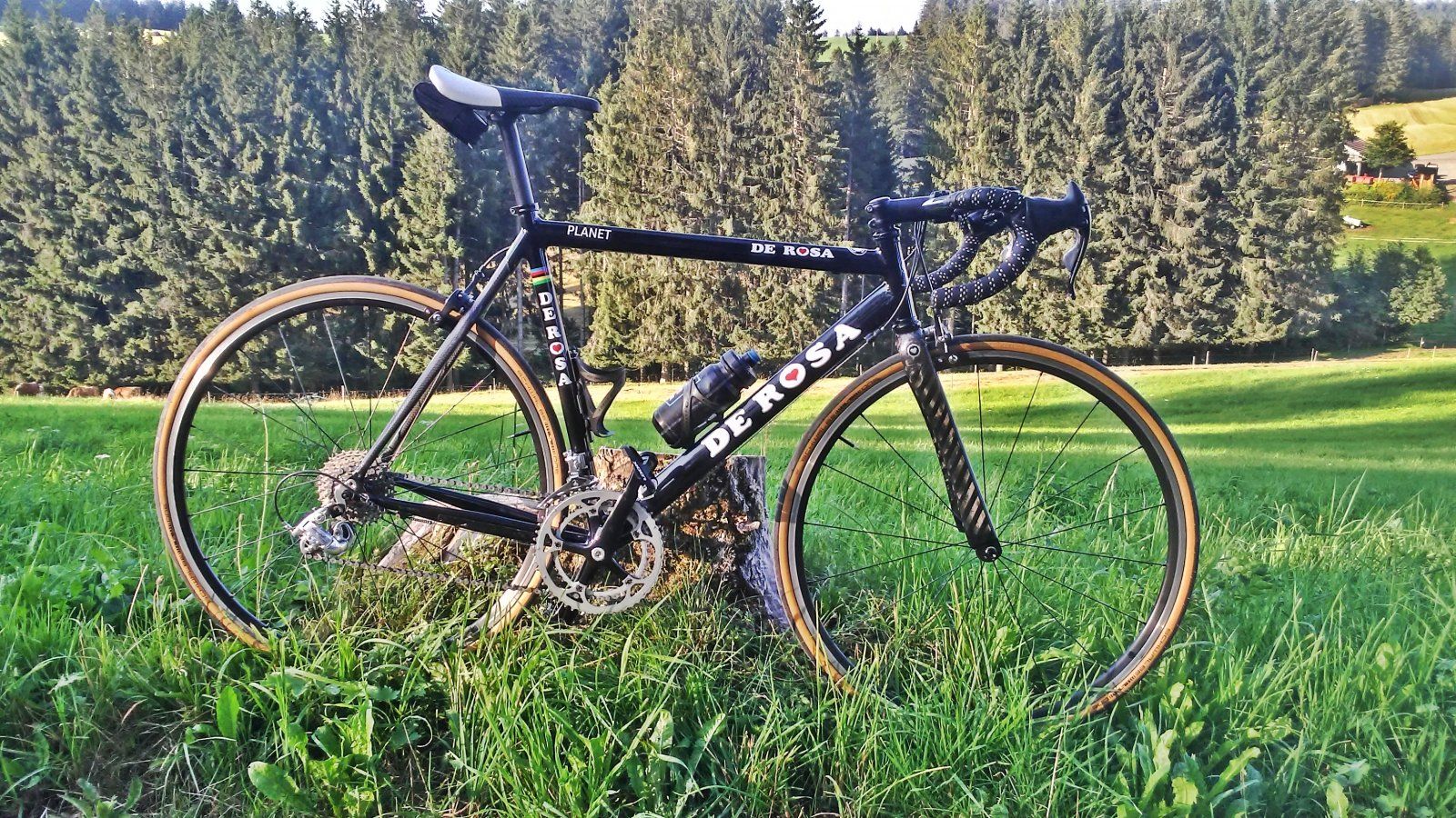 20210812_185814_HDR.jpg