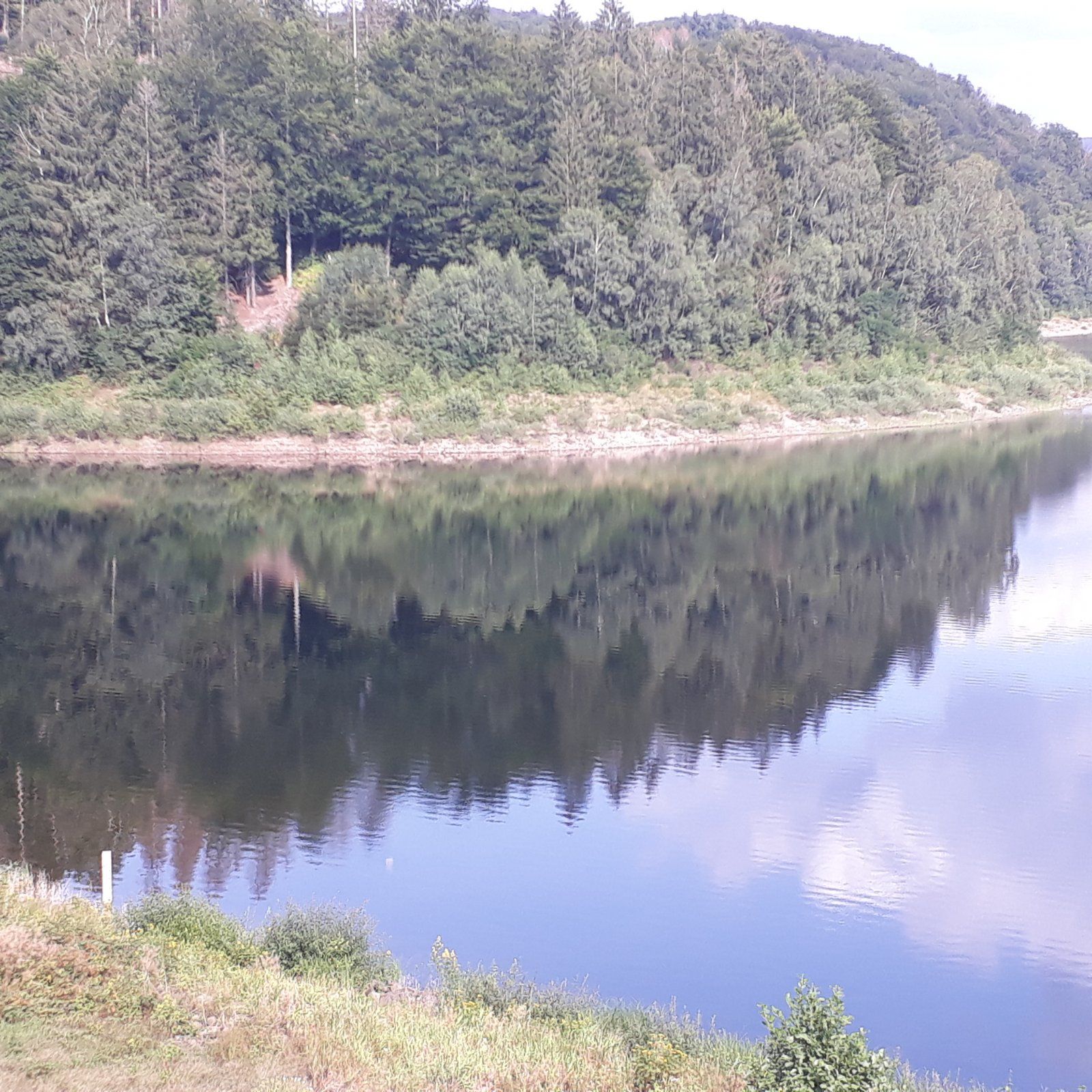 20210821_162657.jpg