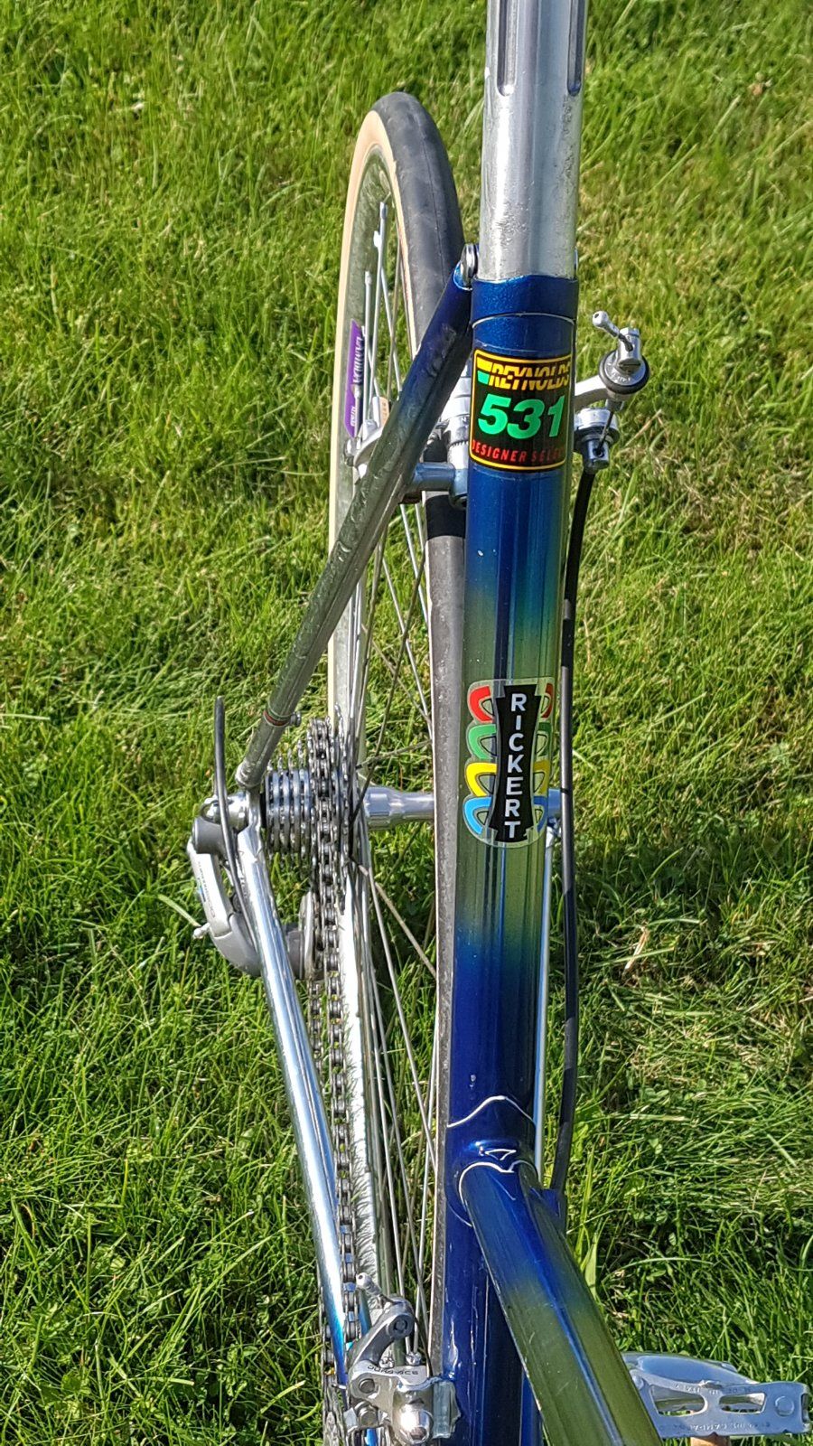 20210908_171756.jpg