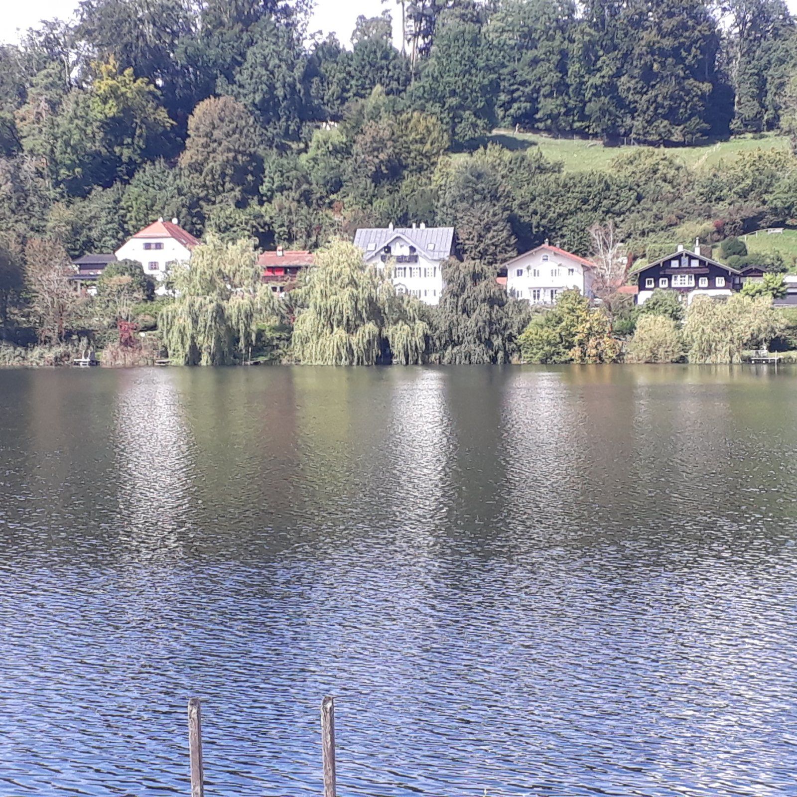 20210912_135817.jpg
