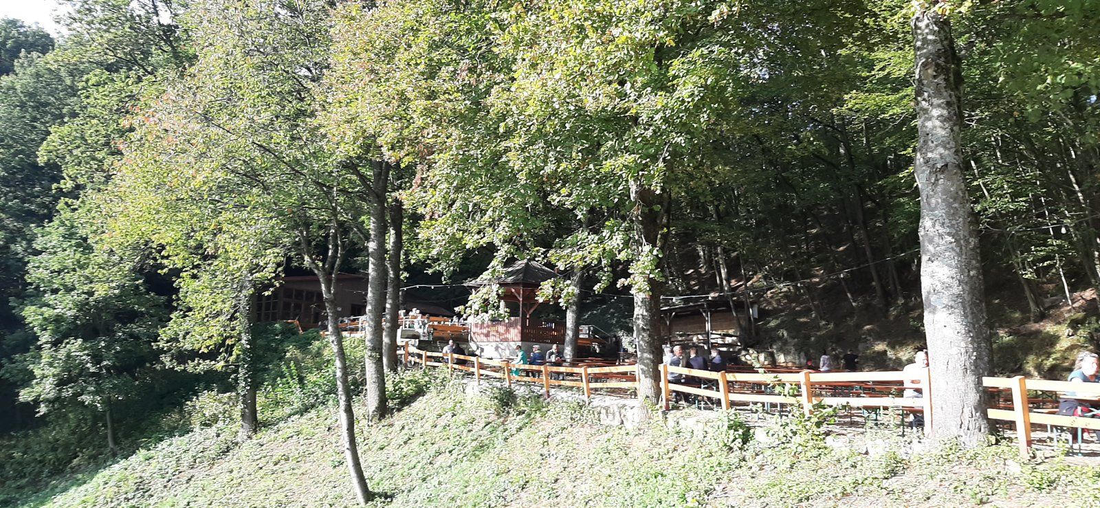 20210923_165317.jpg