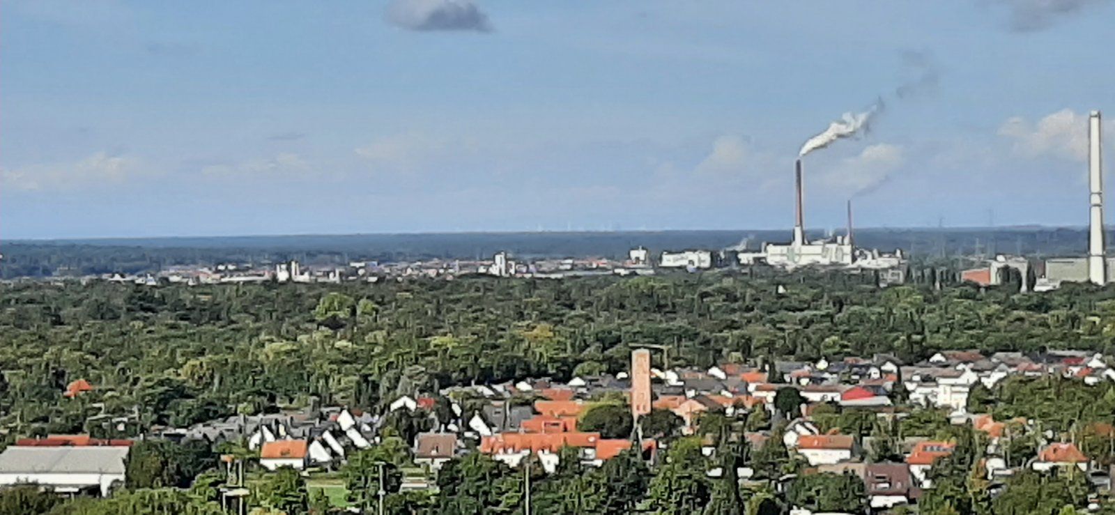 20210930_113738.jpg