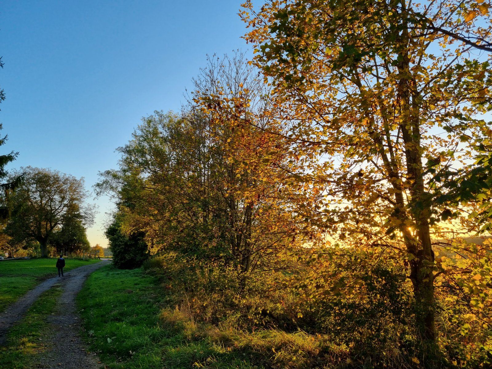 20211023_180015.jpg