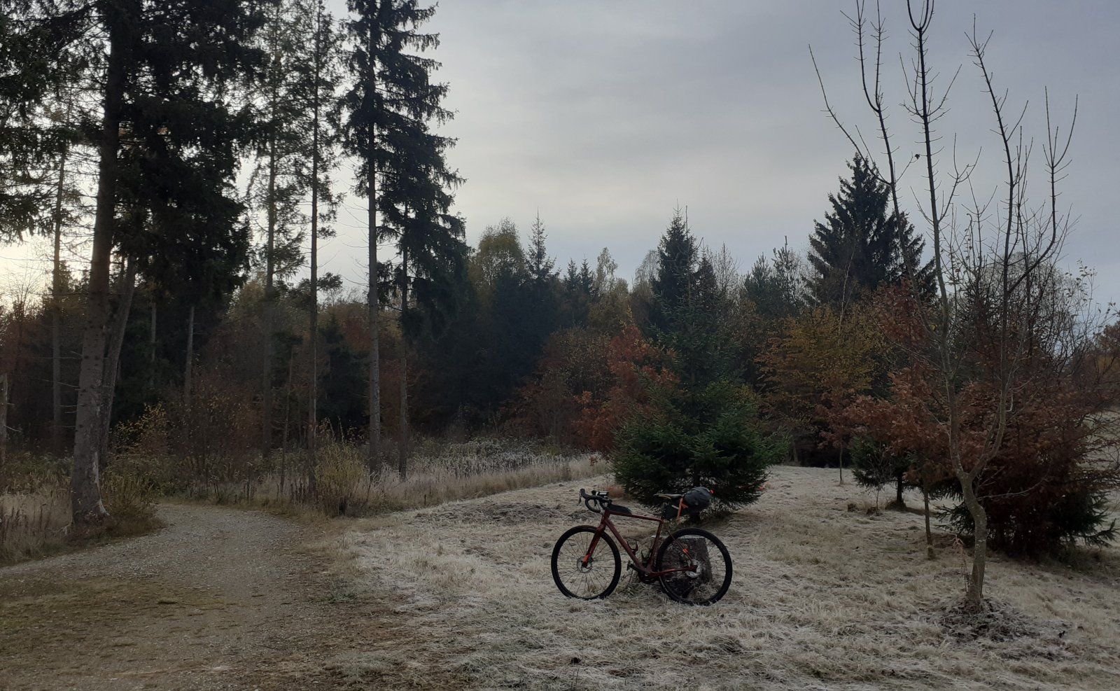 20211103_075056_Desktop.jpg