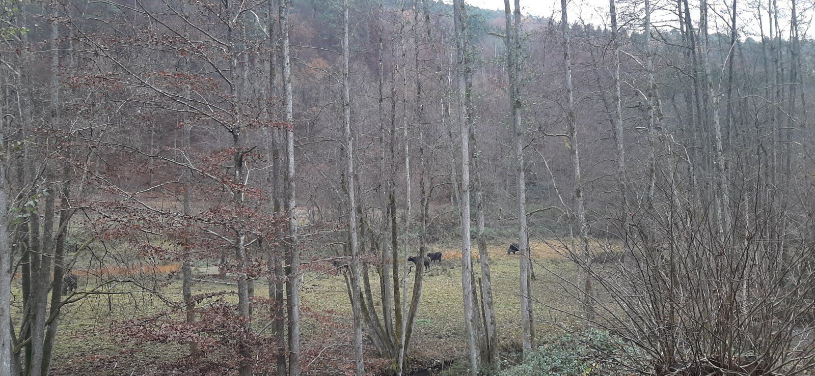 20211120_130815.jpg