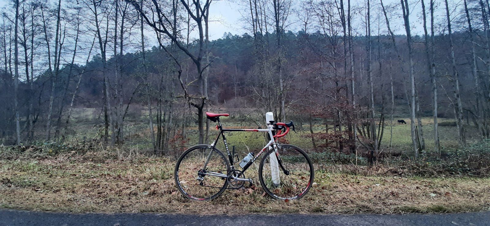 20211120_130915.jpg