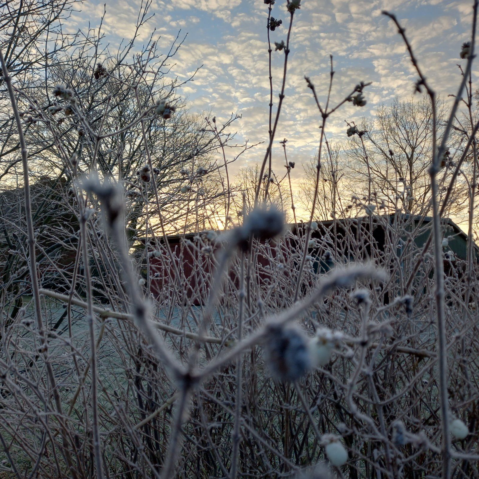 20211221_090406.jpg