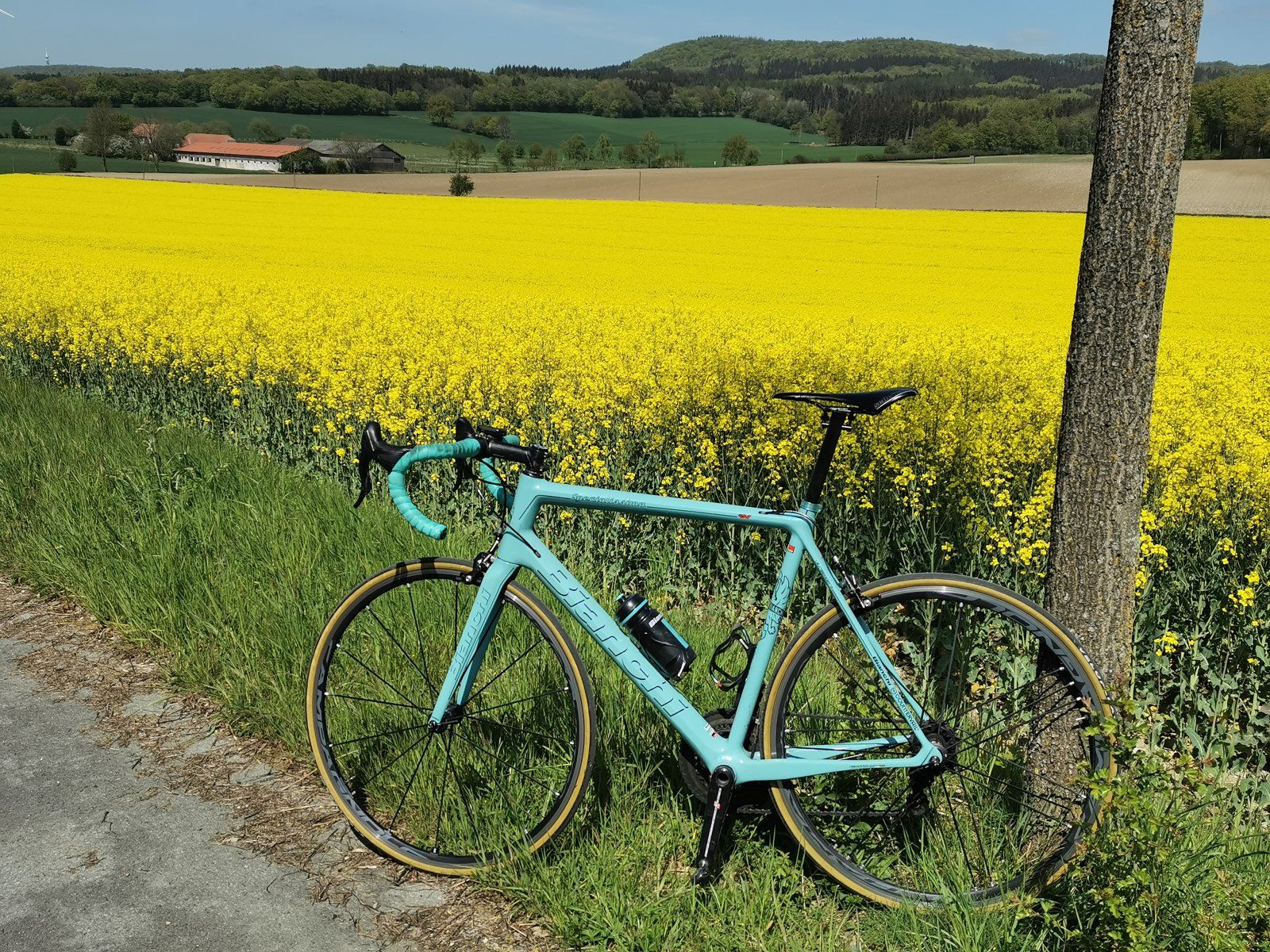 2022-04-28 13.25.39.jpg