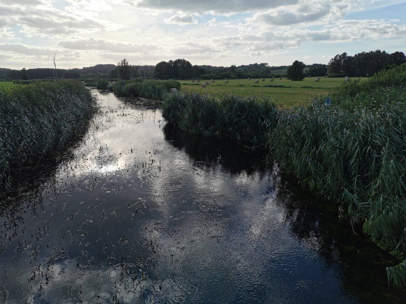 2022-07-26 19.00.17.jpg