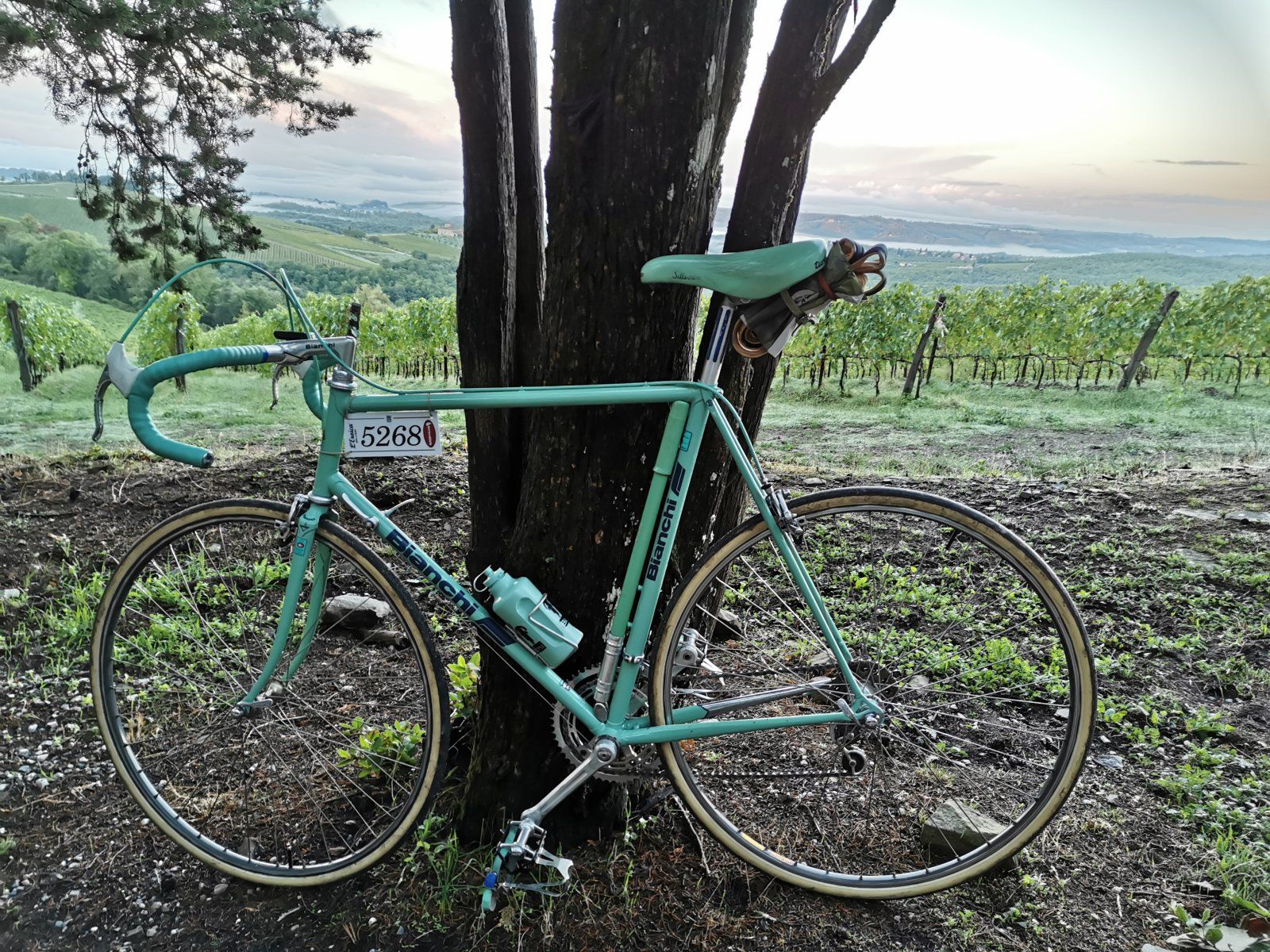 2022-10-01 07.22.45.jpg