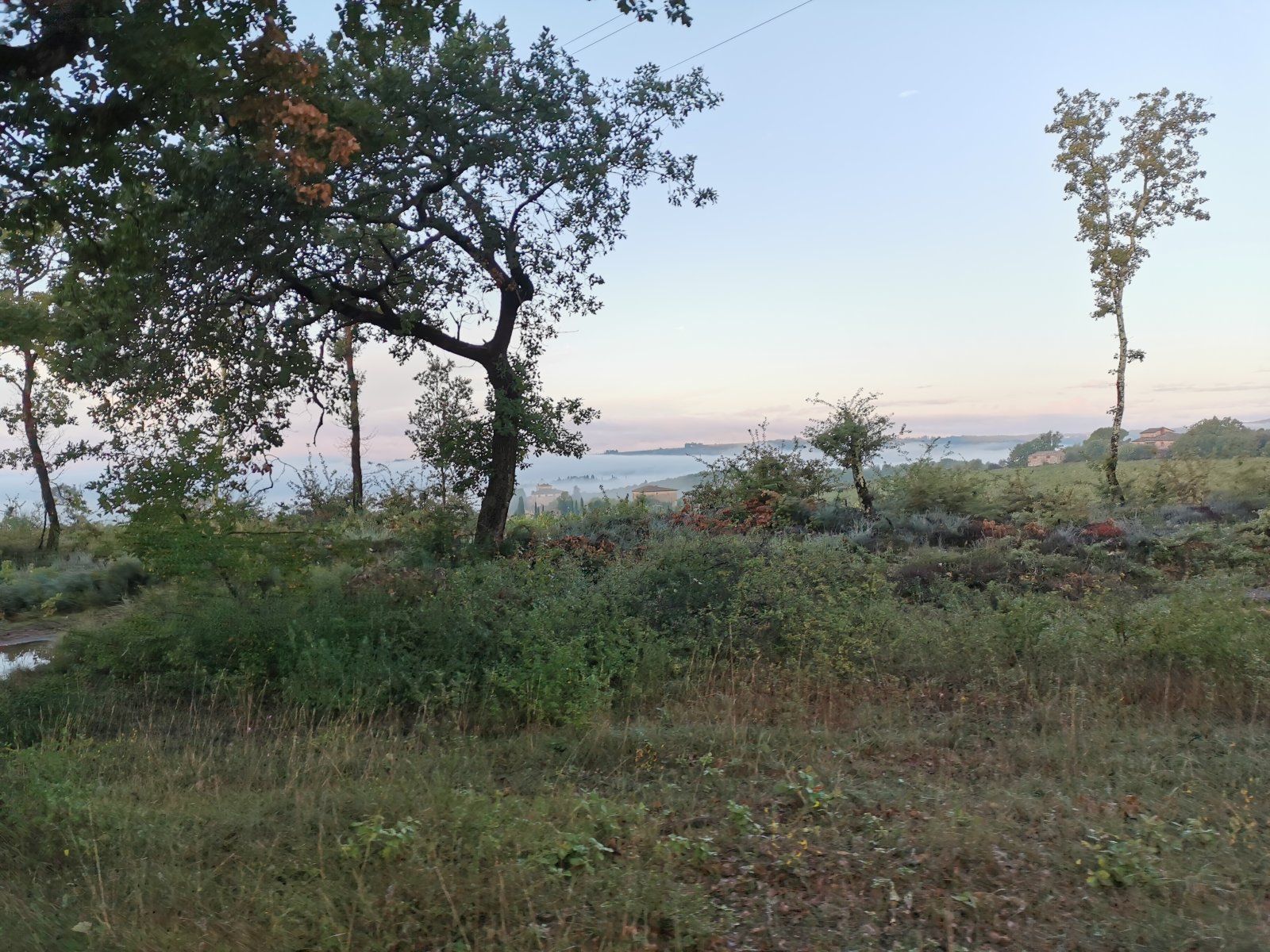 2022-10-01 07.30.29.jpg