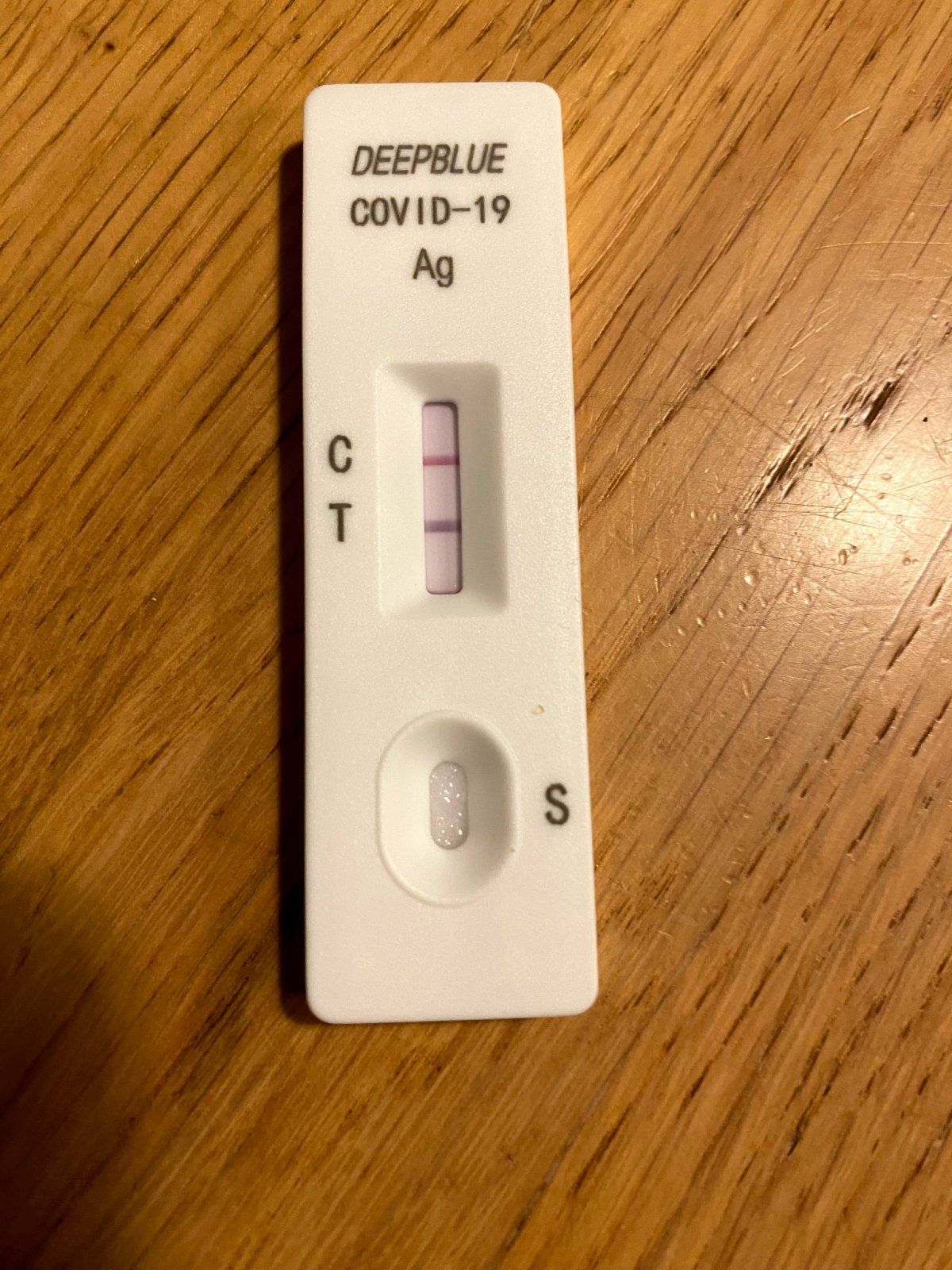 2022-12-19_06-31-17_885.jpg