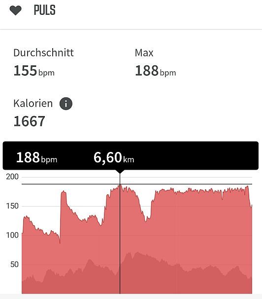 2022-12-31 Puls.jpg