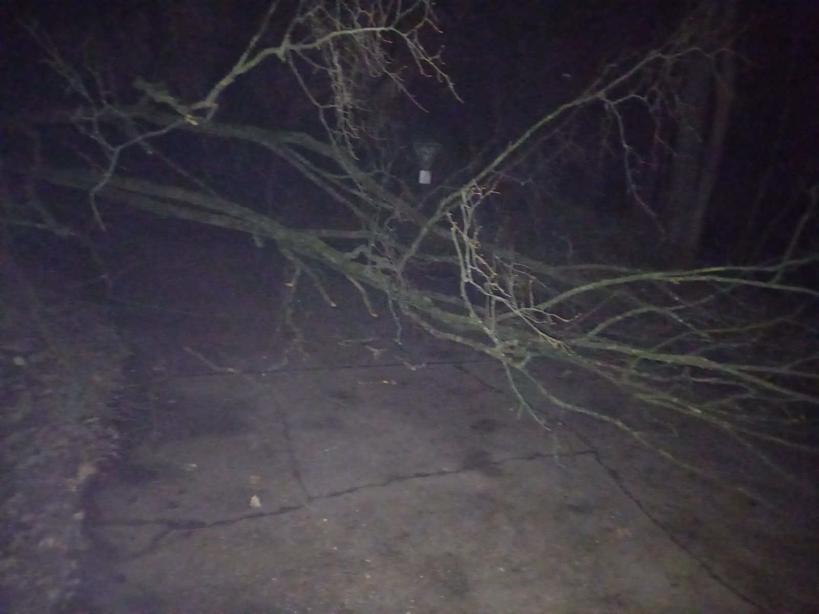 20220111_065557.jpg