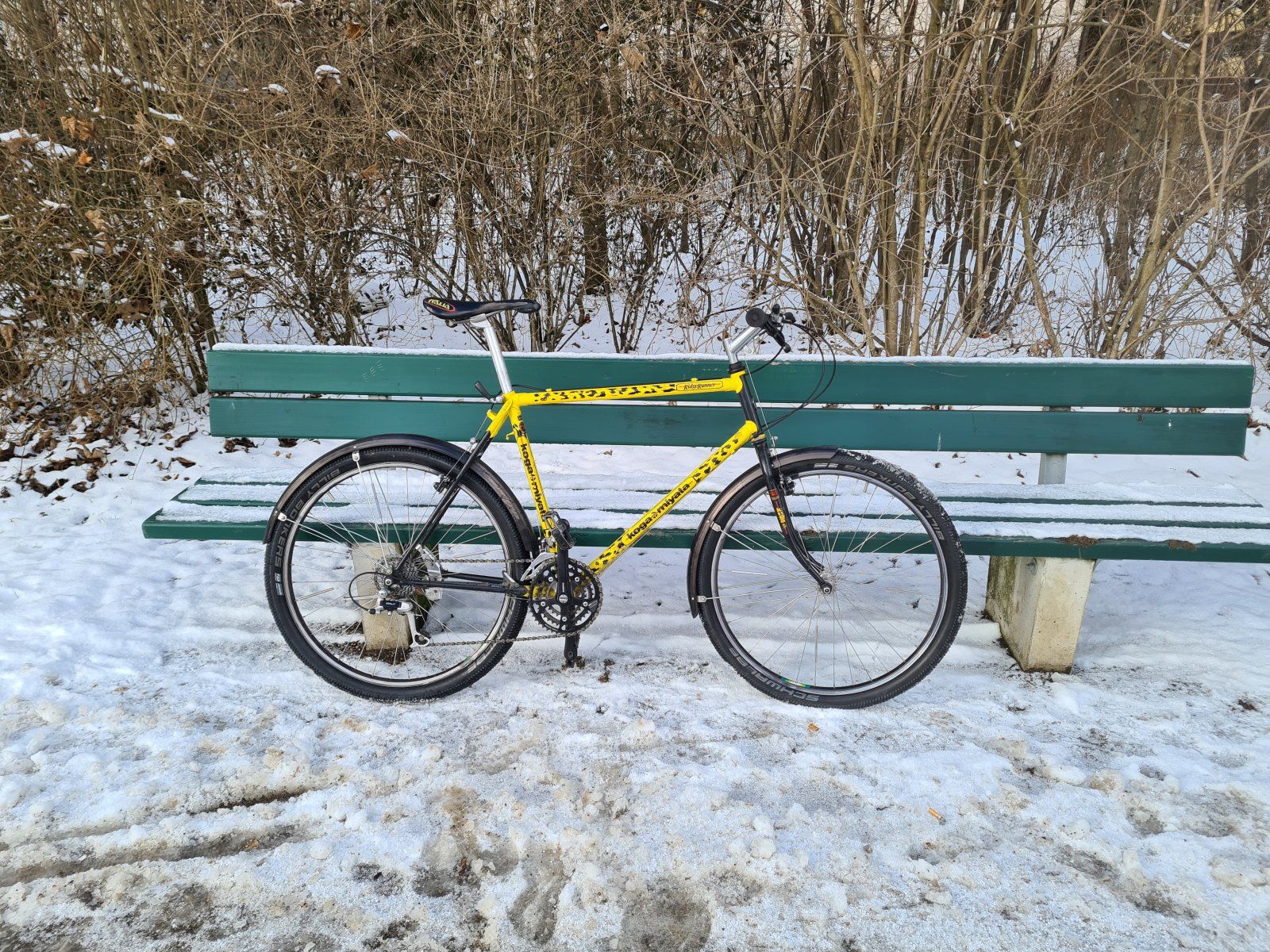 20220121_105953.jpg