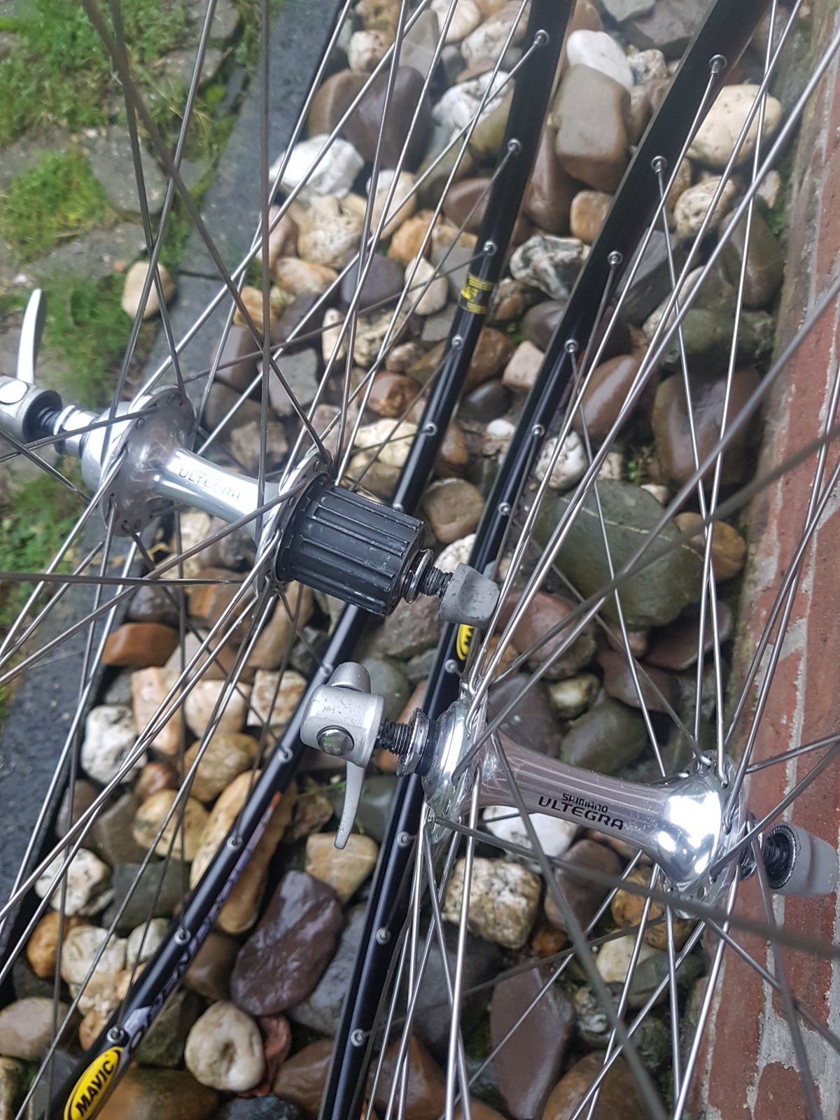 20220121_155246.jpg