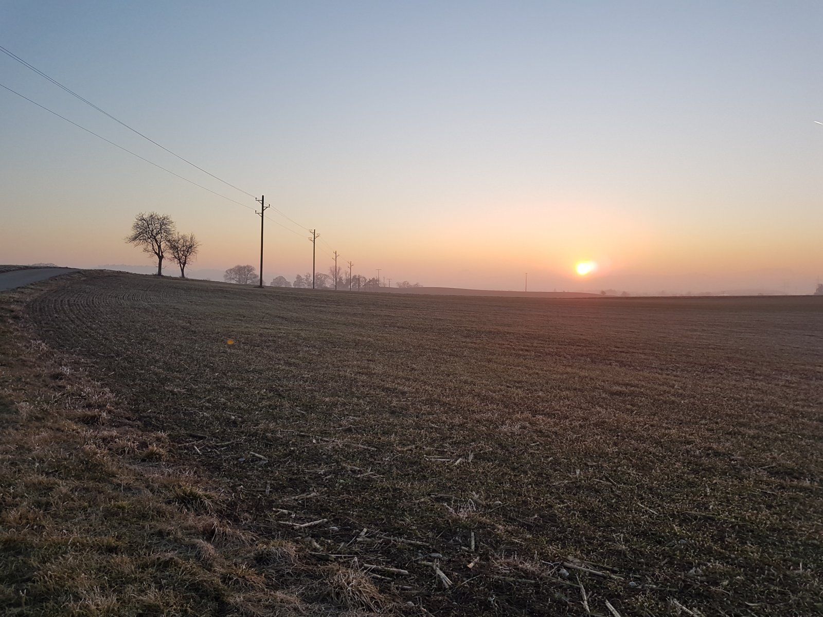 20220126_170426.jpg