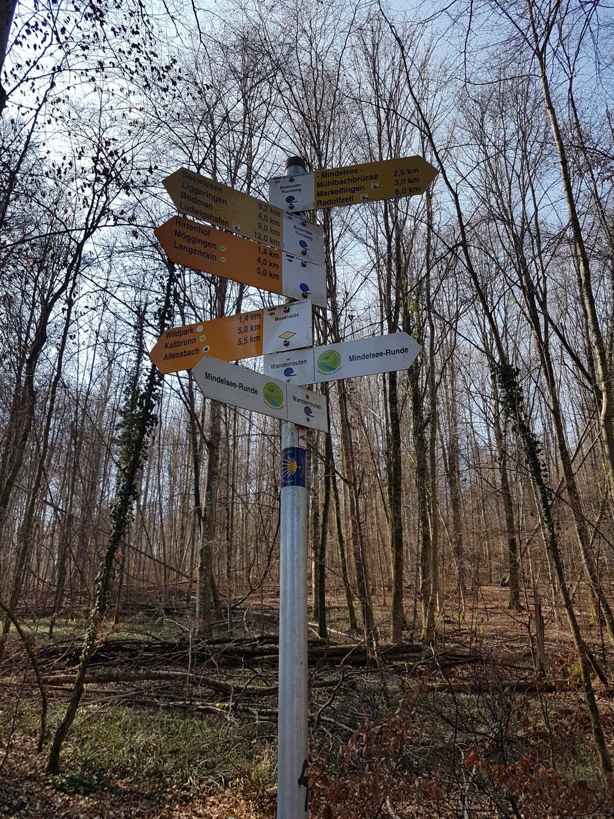 20220319_105642.jpg