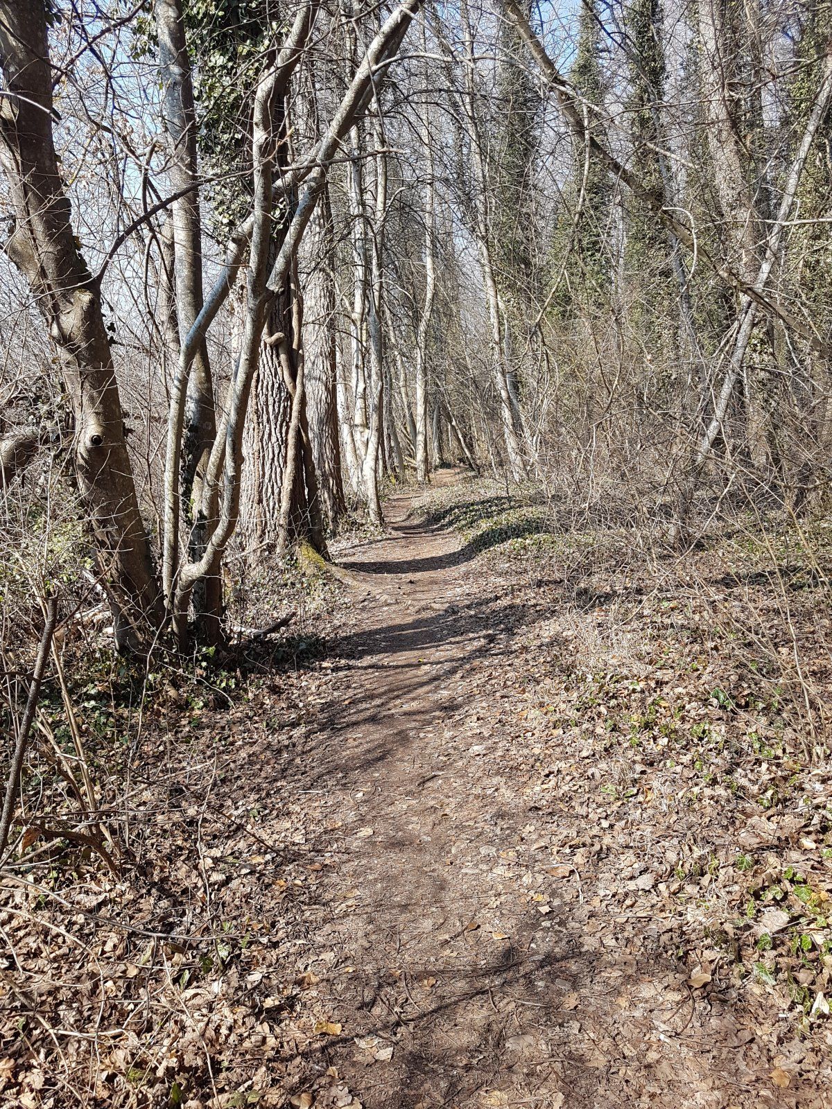 20220319_112452.jpg