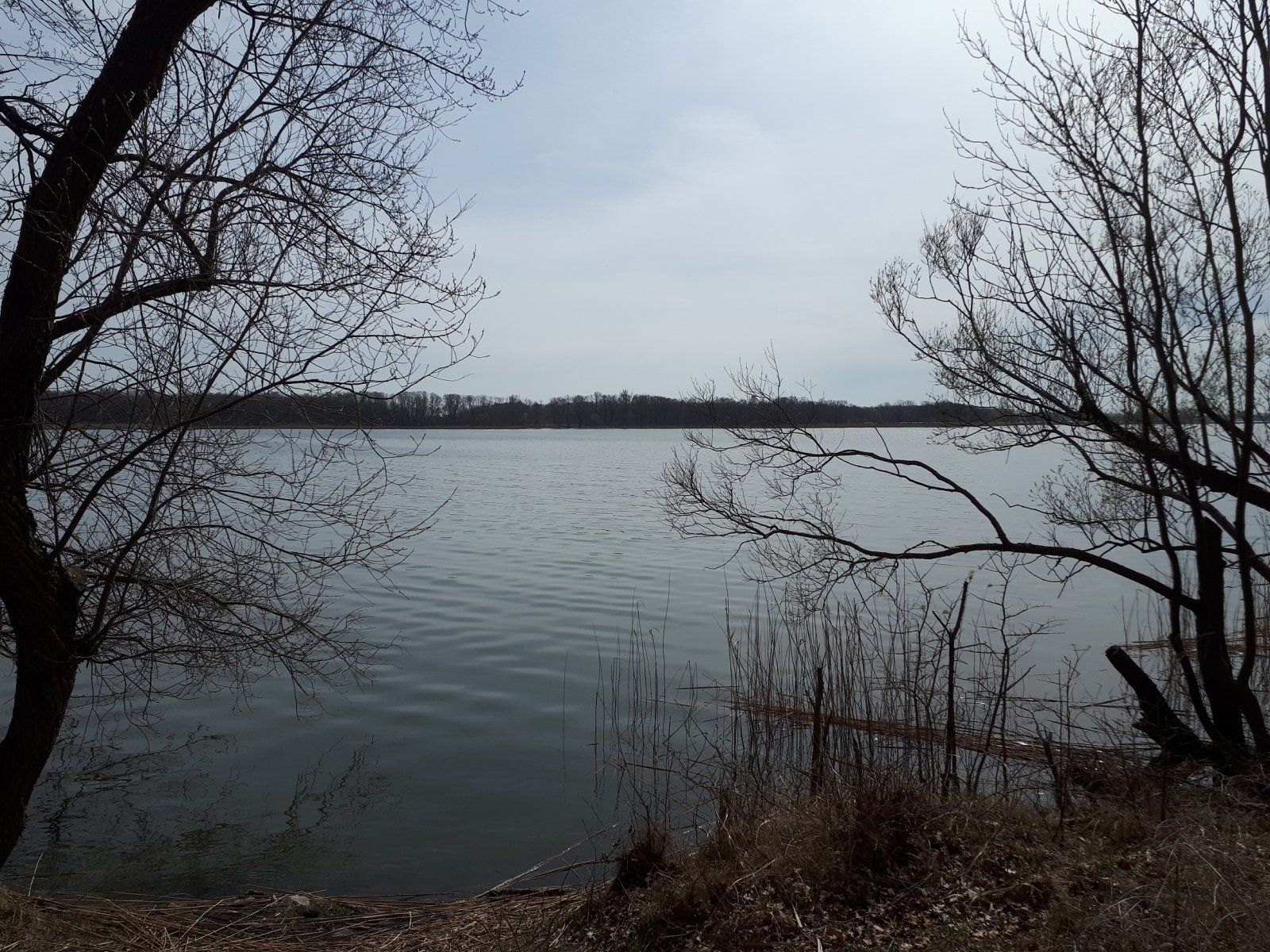 20220413_134444a.jpg
