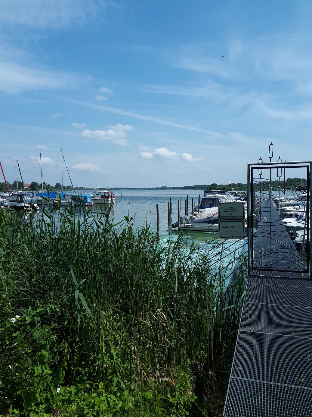 20220630_120429a.jpg